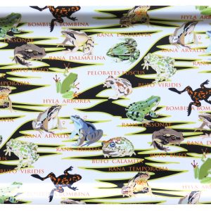 tray: "Swedish Frogs & Toads" 43x22cm