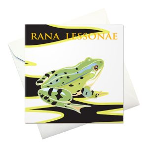 card w envelope: "Pool frog"