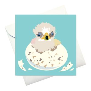 kort m kuvert: "En Liten Ny Kungsörn"