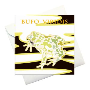 card w envelope: "Green toad"