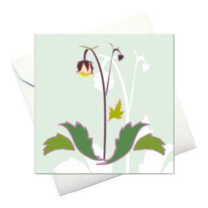 card w envelope: "Water Avens"