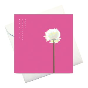 kort m kuvert: "Polar-ull"