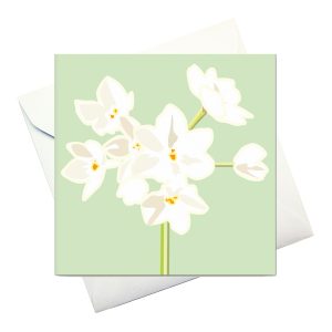card w envelope: "Paperwhites"