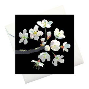 card w envelope: "Cherry Blossom"