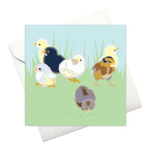 kort m kuvert: "Kycklingar"