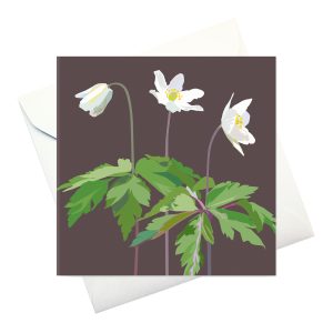 kort m kuvert:  Vitsippor