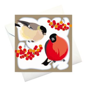 kort m kuvert: "Domherrar"