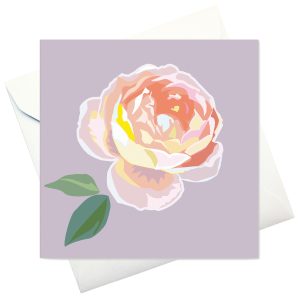 card w envelope: "Centifolia Rose"
