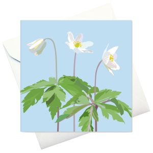 card w envelope: "Wood anemone"