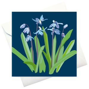 kort m kuvert: "Scilla"