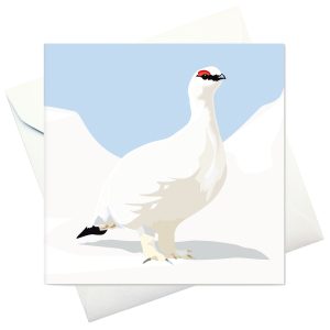 kort m kuvert: "Fjällripa"